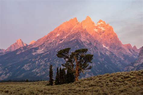 What Does Landscape Mean in Photography: Exploring the Vastness of Nature Through Camera Lenses